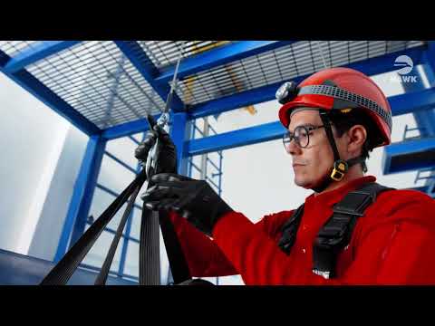youtube - [Video]