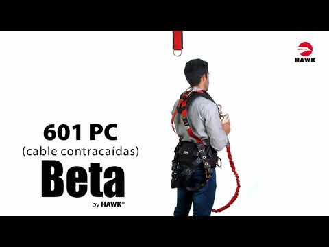 youtube - [Video]